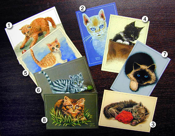 8 CUTE KITTEN - Postcard Set