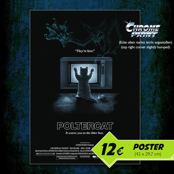 Poltercat (Ghost Version - CHROME Print – top right corner slightly bumped!)